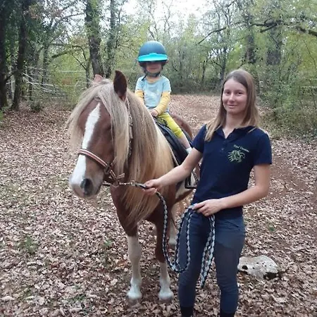 Andraud منزل للإقامة