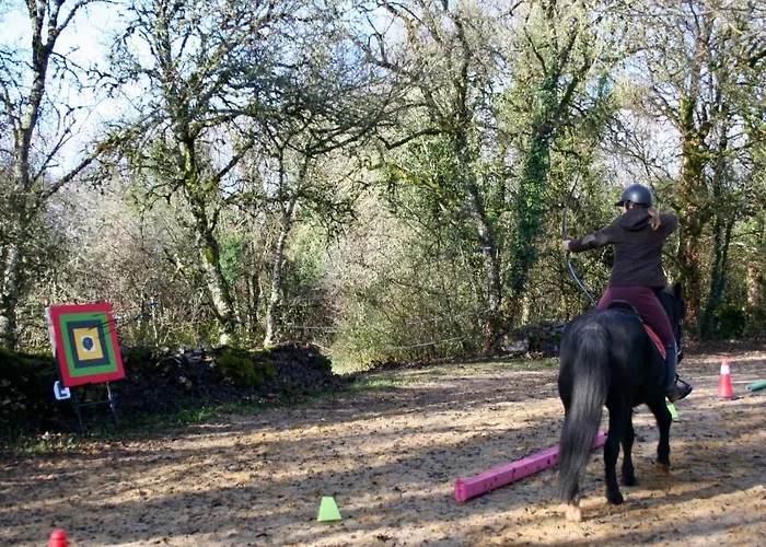 ホームステイ Andraud *