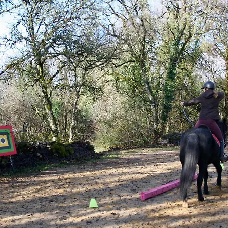 홈스테이 Andraud *