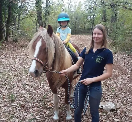 Andraud Homestay szállás