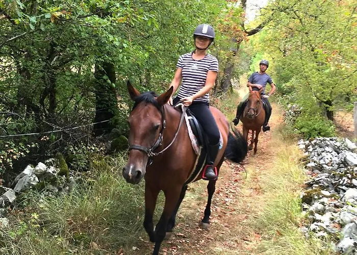 Homestay szállás Andraud